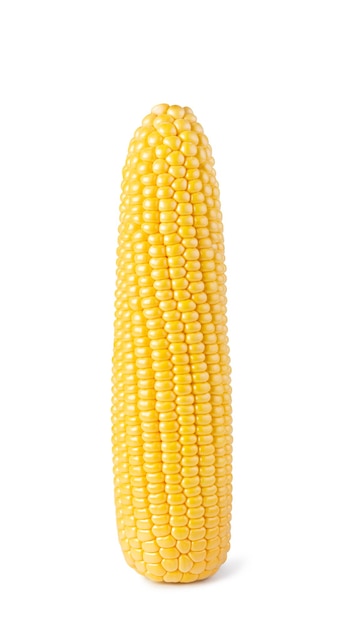 maïskorst geïsoleerd op witte achtergrond