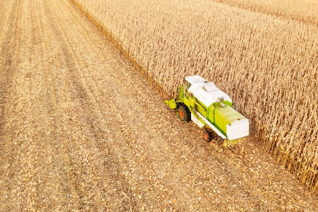 Foto raccolta del mais, mietitrice in un campo di mais, vista dall'alto
