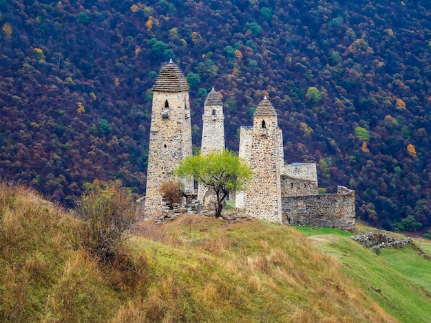 Majestic battle towers of Ingushetia Beautiful historical monument tourist attraction Amazing medieval tower complex Erzi one of the largest medieval castletype tower villages