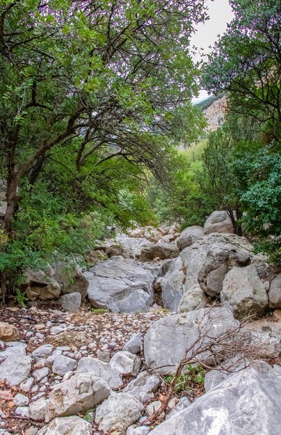 Majestic Djebel Zaghouan Tunisia's Stunning Mountain