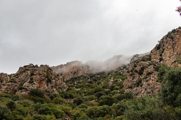 Majestic Djebel Zaghouan Tunisia's Stunning Mountain