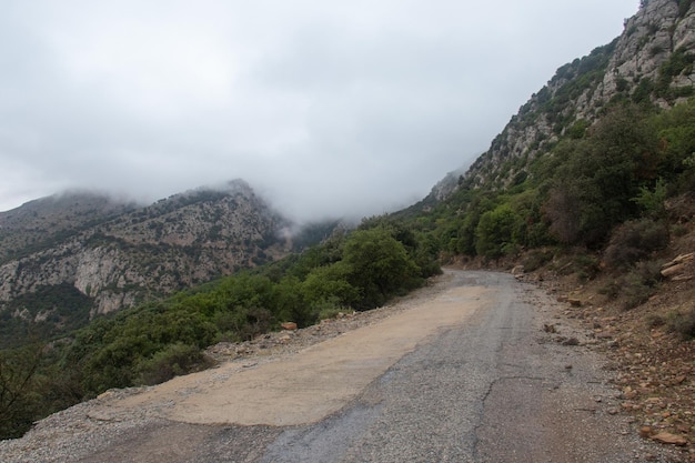 Majestic Djebel Zaghouan Tunisia's Stunning Mountain