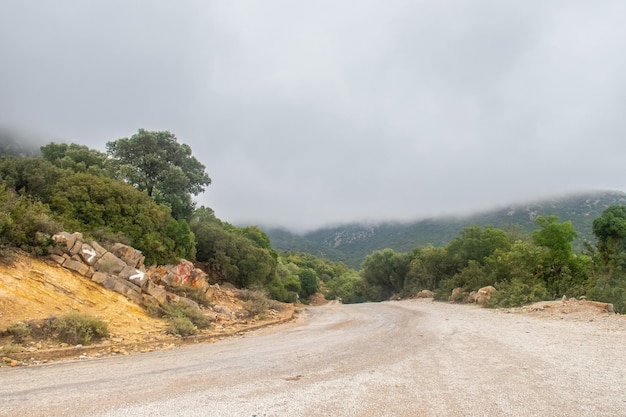 Majestic Djebel Zaghouan Tunisia's Stunning Mountain