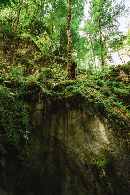 Majestic Gorges du Pont du Diable Cave in France