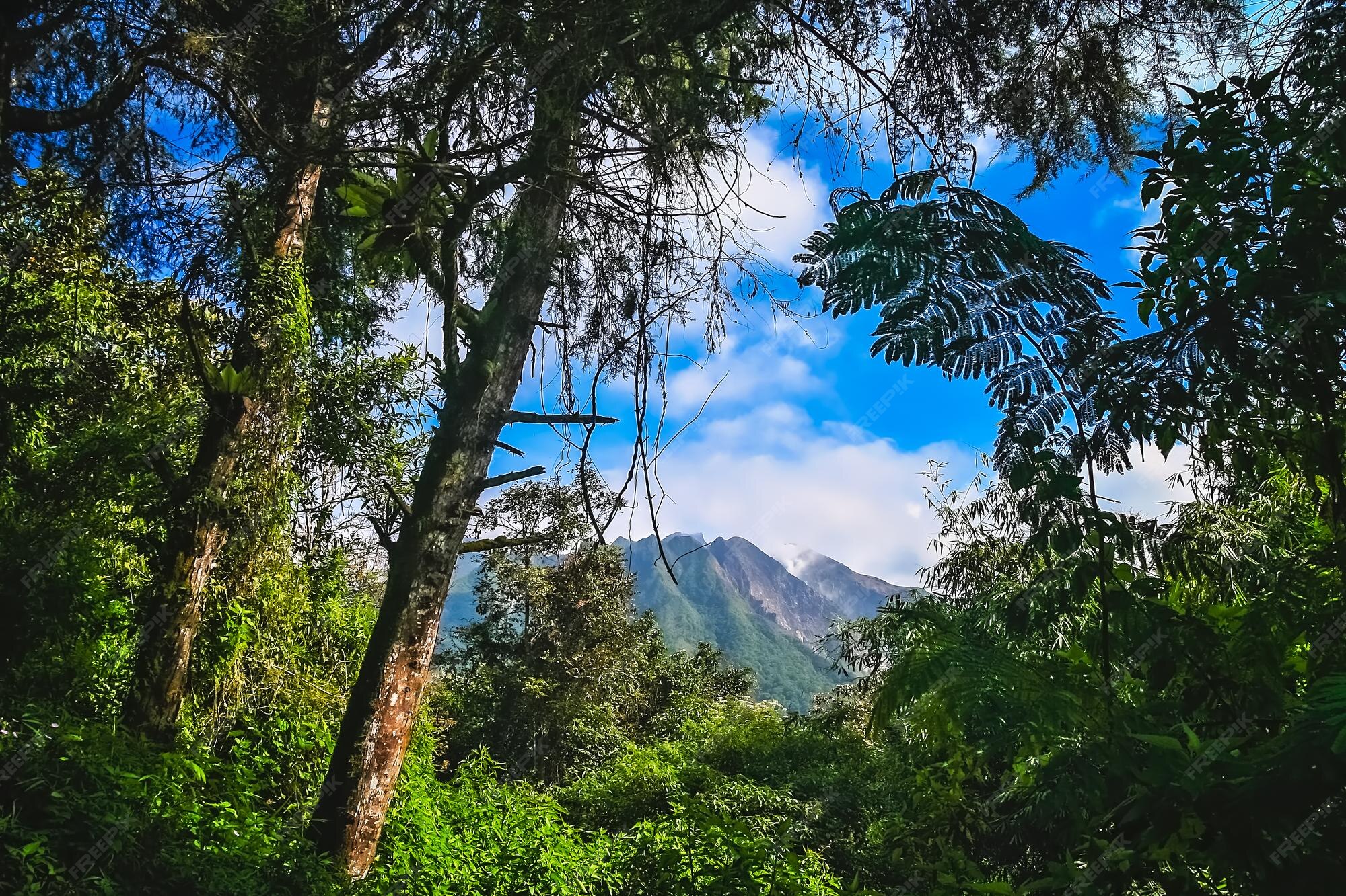 Premium Photo | Majestic gunung sibayak volcano 