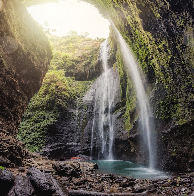 Majestic Madakaripura waterfall flowing in tropical rainforest