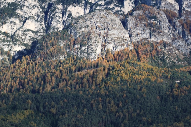 Foto maestosa montagna in autunno