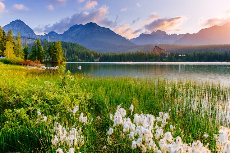 Photo 国立公園高タトラの雄大な山の湖。 strbske pleso、スロバキア、ヨーロッパ。