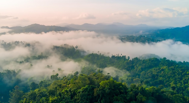 majestic mountains of the amazon with haze in a beautiful sunrise in high resolution and sharpness