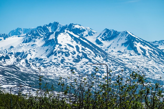 トンプソン峠の雄大な山々が木々にそびえ立つ