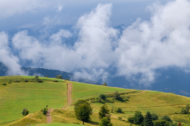 Majestic view on beautiful fog and cloud mountains in mist landscape. Summer time after rain