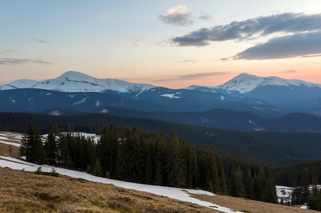 Majestic view of Carpathian mountains at sunrise or sunset. Valley covered with clean snow, transparent fresh air, dense evergreen forest and soft sun glow over distant snow-covered mountain range.