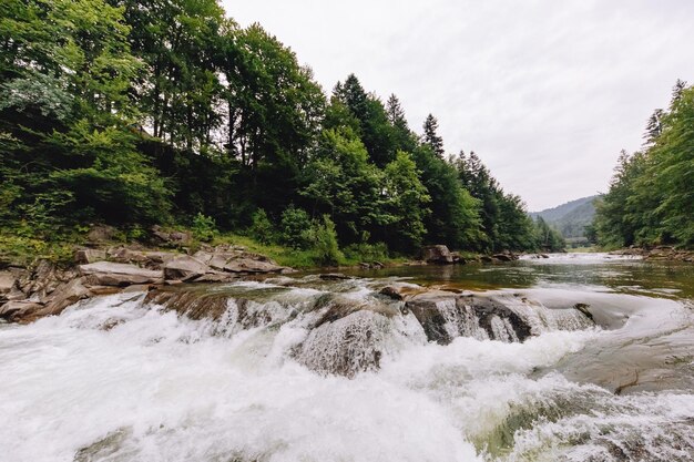 Vista maestosa di un fiume di montagna in un paesaggio di montagna