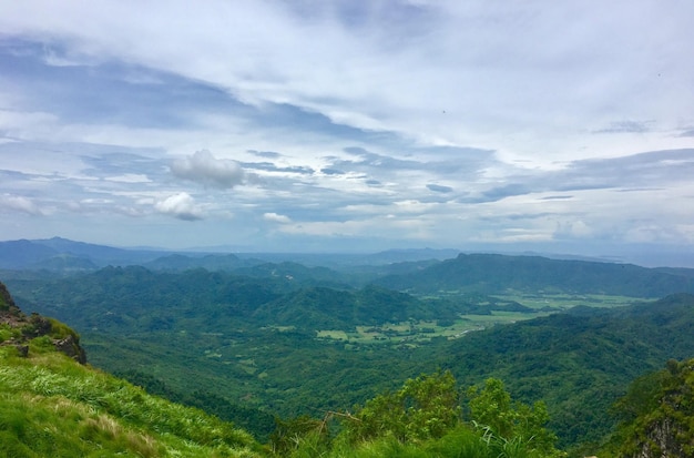 雲の空を背景に木々と山の壮大な景色