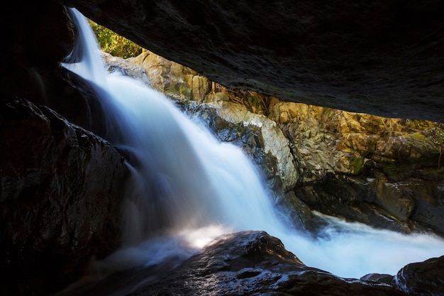 Maestosa cascata nella giungla della foresta pluviale del costa rica. escursione tropicale.