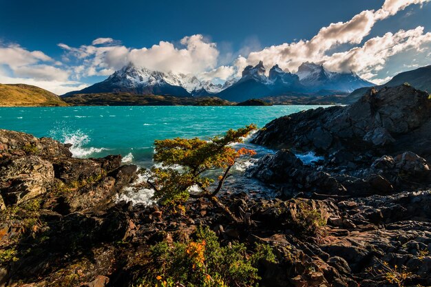 Majestueus berglandschap Nationaal Park Torres del Paine Chili