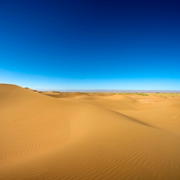 Majestueus duinlandschap