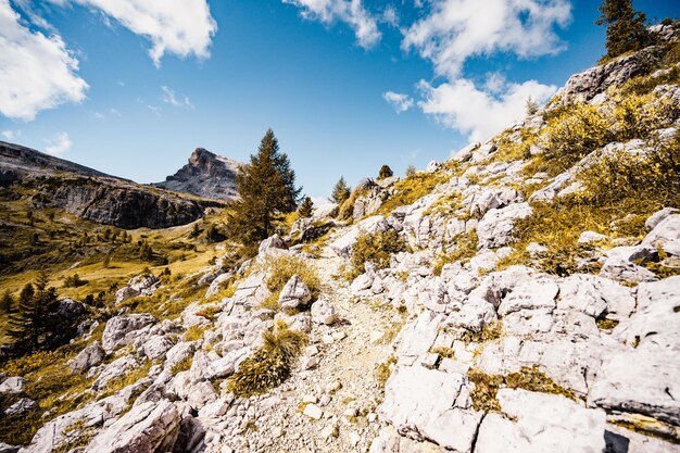 Majestueus landschap van alpine rode herfst Cinque Torri Passo Falzarego Tofana Prachtig wandelnatuurlandschap in dolomiet Italië nabij Cortina d'Ampezzo