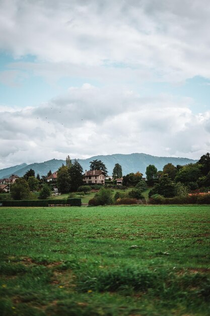 Majestueuze bergen in de Alpen bedekt met bomen en wolken