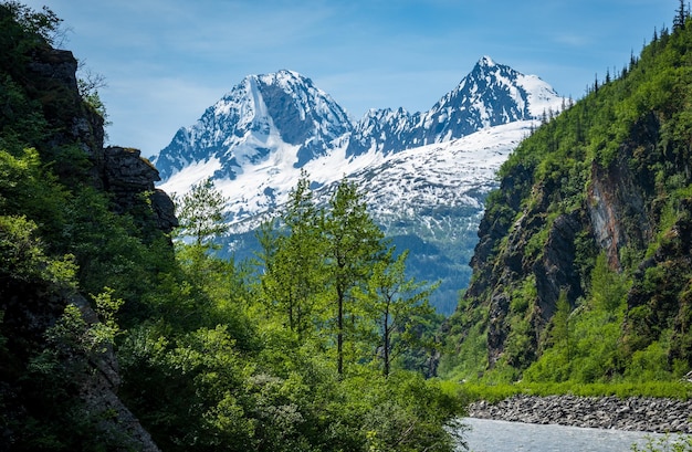 Majestueuze bergen van keystone canyon rijzen boven de bomen uit