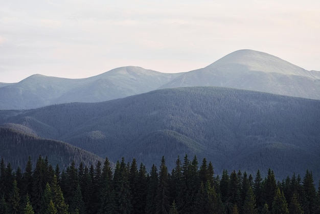 Majestueuze Karpaten Prachtig landschap van ongerepte natuur