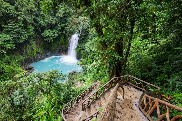 Majestueuze waterval in de regenwoudjungle van costa rica.