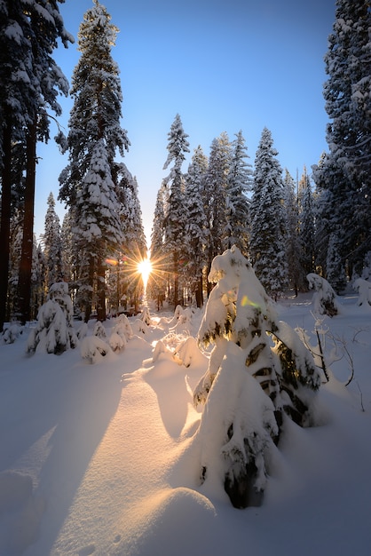 Majestueuze zonsondergang in het landschap van de winterbergen