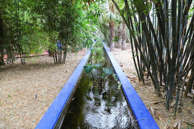 モロッコのマラケシュにあるマジョレル庭園