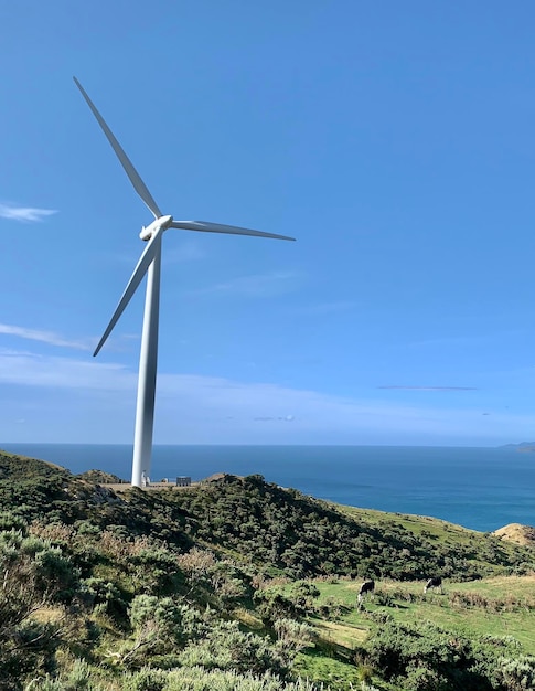 Photo makara wind farm