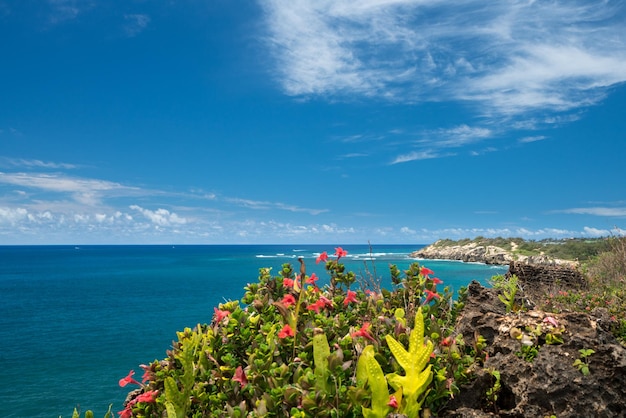 Makawehi bluf en Poipu in Kauai