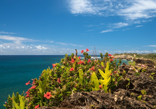 Makawehi bluf en Poipu in Kauai