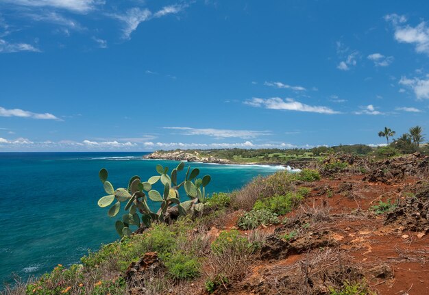 Makawehi bluff and Poipu in Kauai