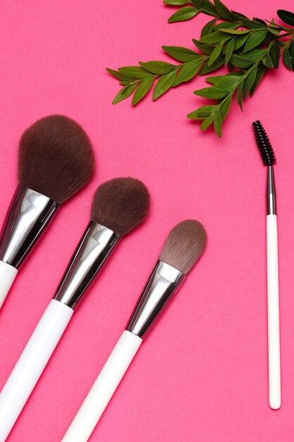 make-up artiest borstels op roze met een groene plant