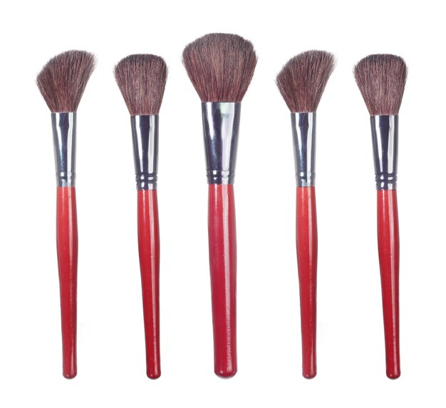 Make Up Brushes