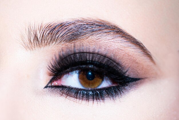 Make up eyes Closeup of beautiful womanish eye