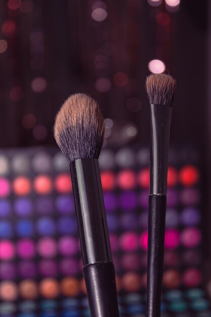 Make up palette with brushes