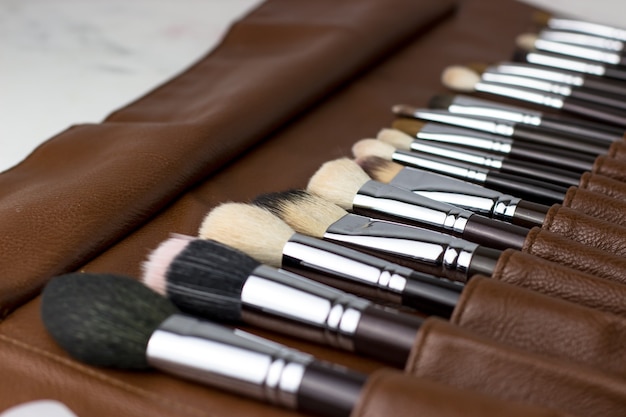 Makeup artist's brushes in a brown case. Side view