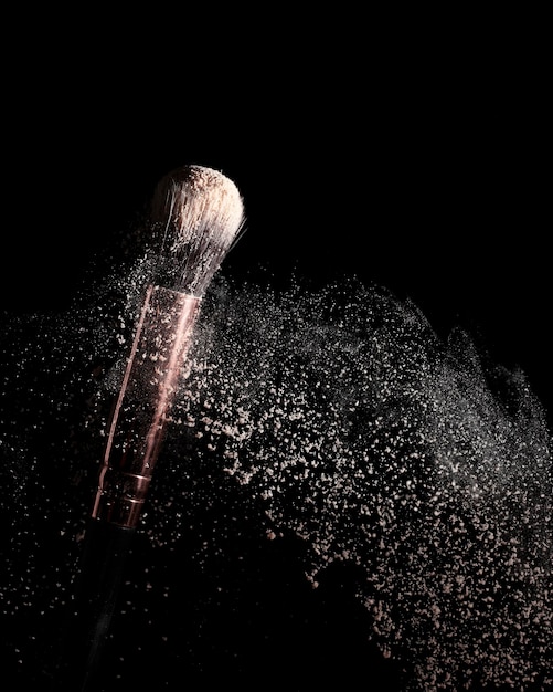 Photo makeup brush with powder