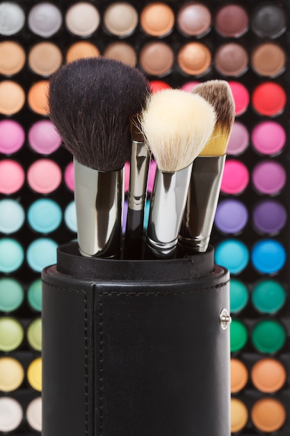 Makeup brushes and makeup palette