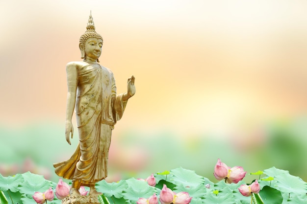 Маха Асанаха Вишакха Буча День Изображение Золотого Будды Фон из листьев Бодхи с сияющим светом Мягкое изображение и стиль плавного фокуса