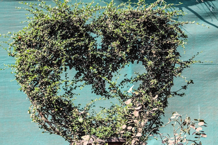 Photo making heart with green little leaves