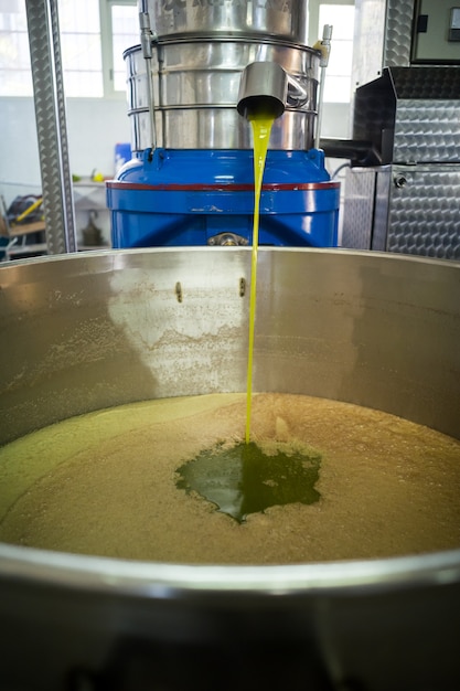 Produzione di olio d'oliva