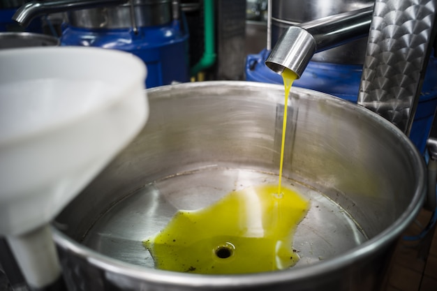 Making of Olive Oil