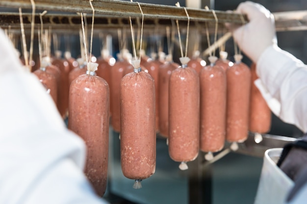 Produzione di salsiccia, salumi industria della carne