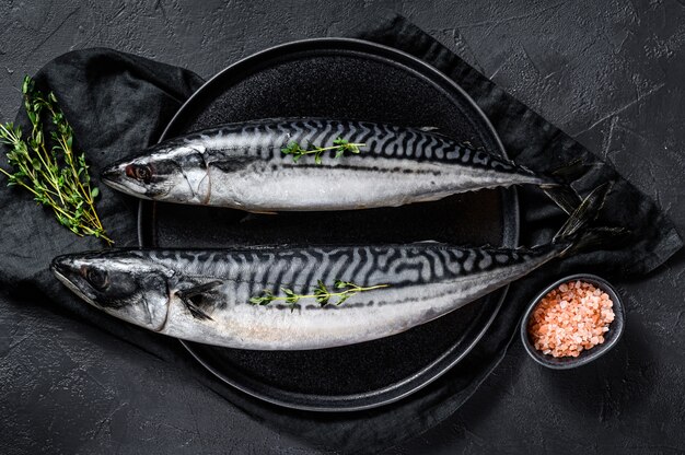 Makreelvissen met tijm en roze zout. Vers zee-eten. Bovenaanzicht