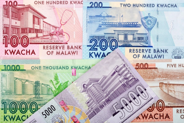 Malawische geld nieuwe serie bankbiljetten achterkant