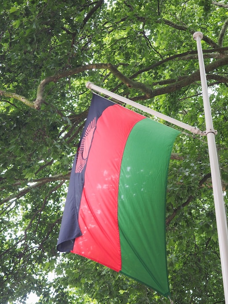 Malawische vlag van Malawi