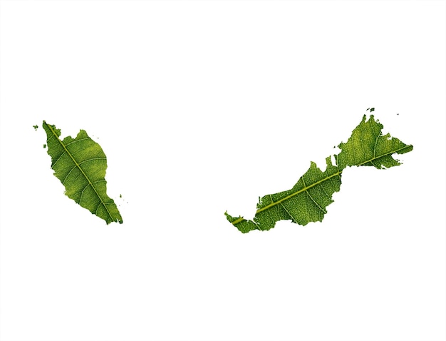 白い背景のエコロジー コンセプトに緑の葉で作られたマレーシア マップ