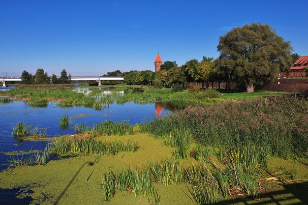 Malbork is kruisvaarderskasteel in Polen