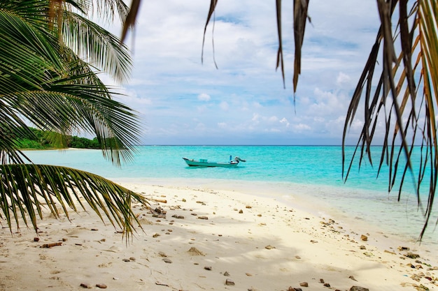 Maldive Islands Sand Beach en uitzicht op groene palmbladeren